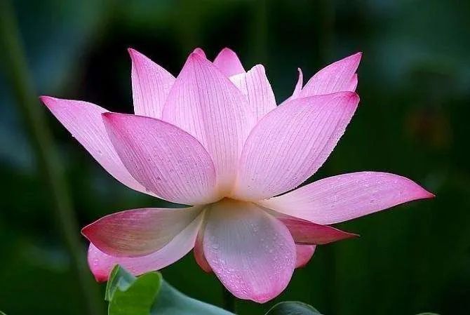 ��������������Ŀ����𣿿���ʦ����ô˵