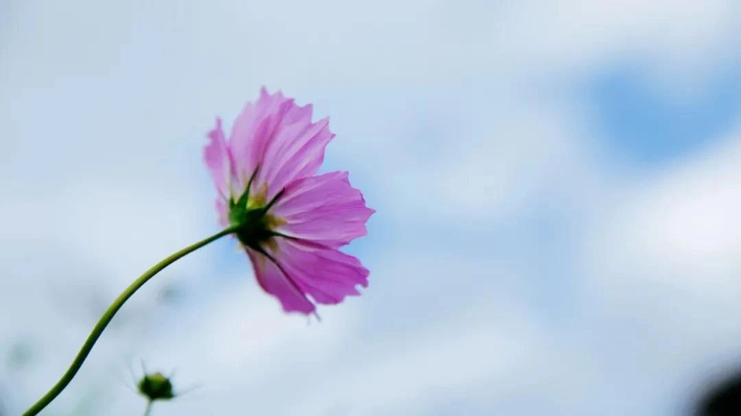 ���еĺ��ĵ�����ʲô��