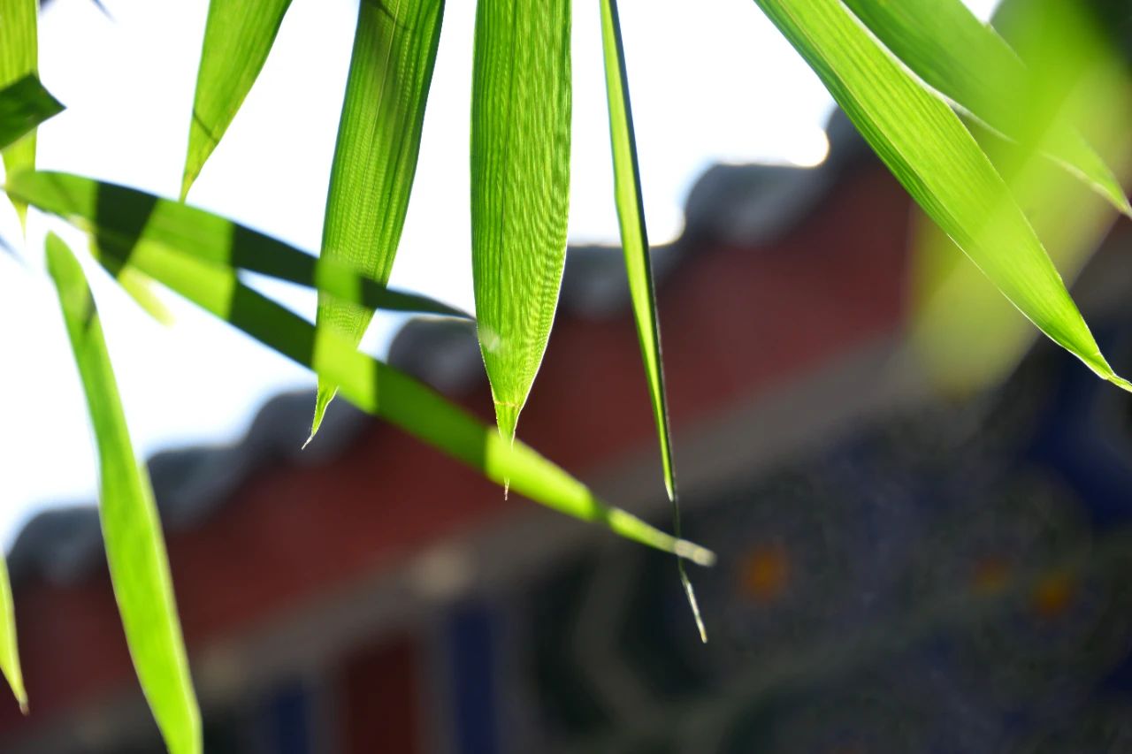 ѧ����������������ʱ���������˻��£�����Զ��