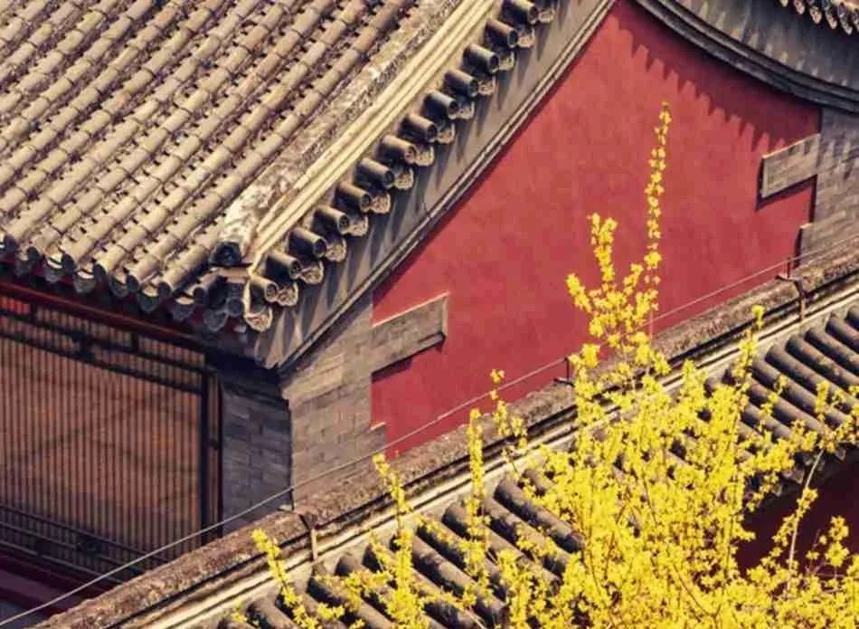 ѧ����������������ʱ���������˻��£�����Զ��