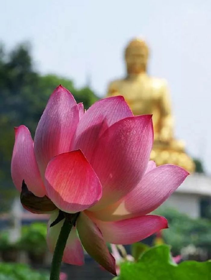 ���е�Ŀ�ģ�����Ѱ��ԭ���徻����������