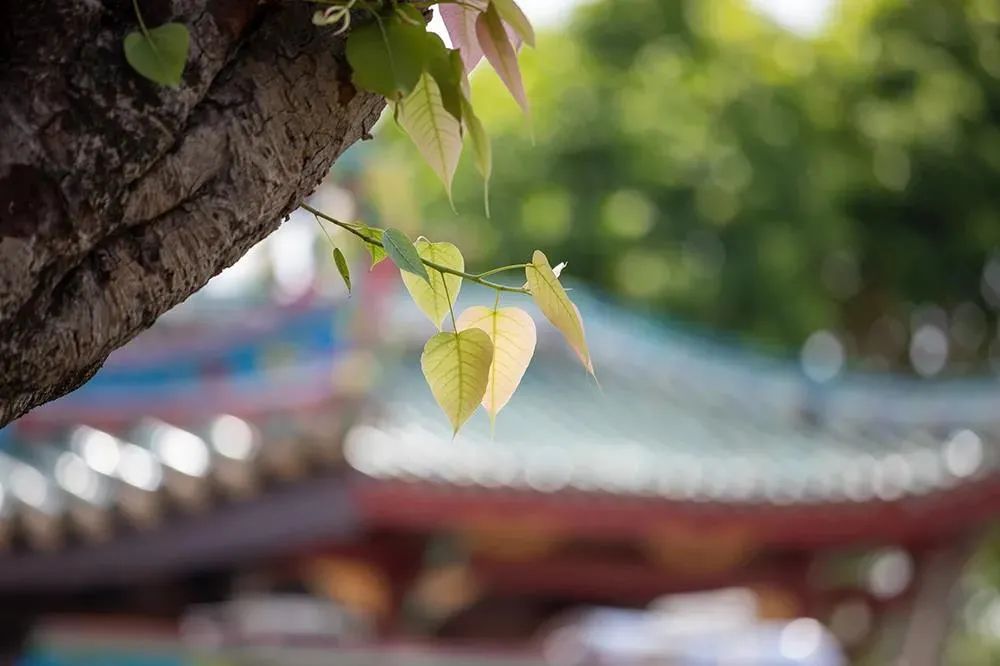 家庭就是道场 家庭就是道场