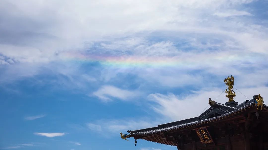 从此吃素,从此念佛 从此吃素,从此念佛