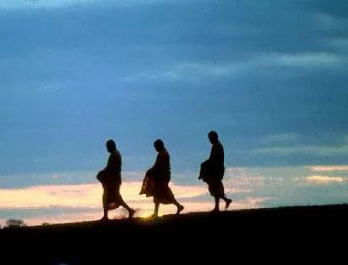 ���ڹ������������۸�