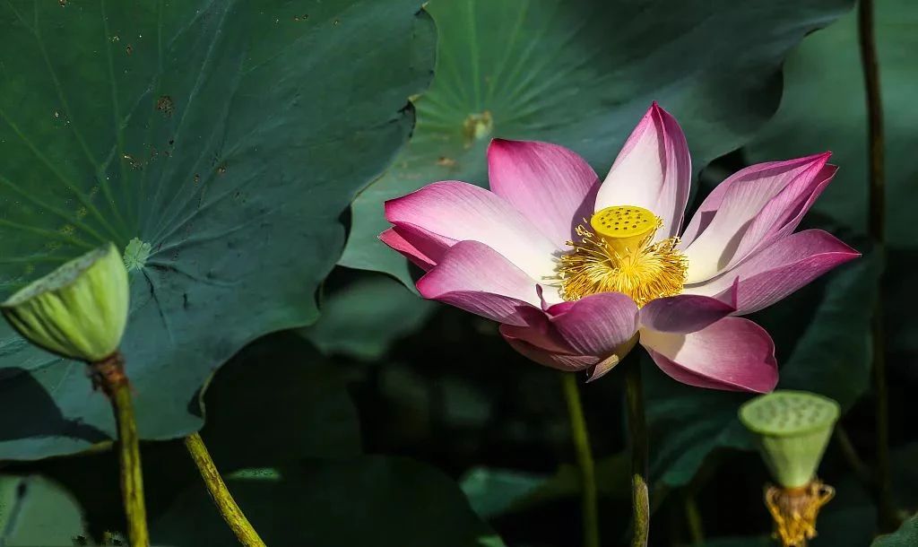 �������ڣ������к����壿