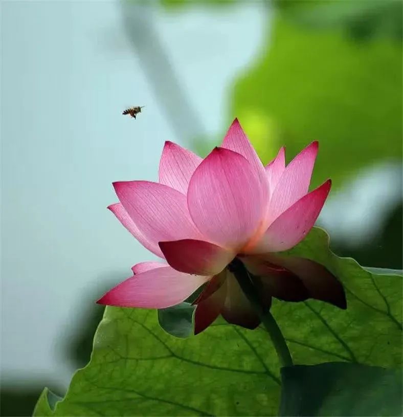 ����վ������������������������������±����ˣ�