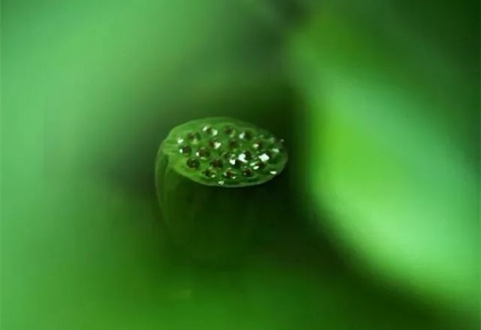 ����վ������������������������������±����ˣ�