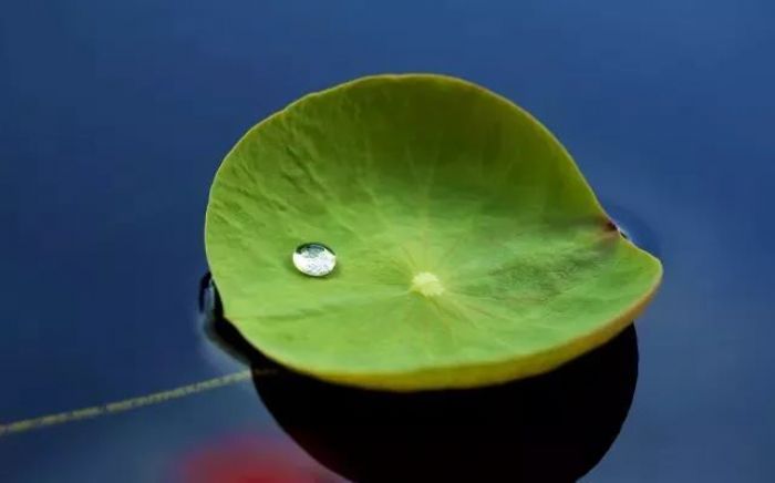 ����վ������������������������������±����ˣ�