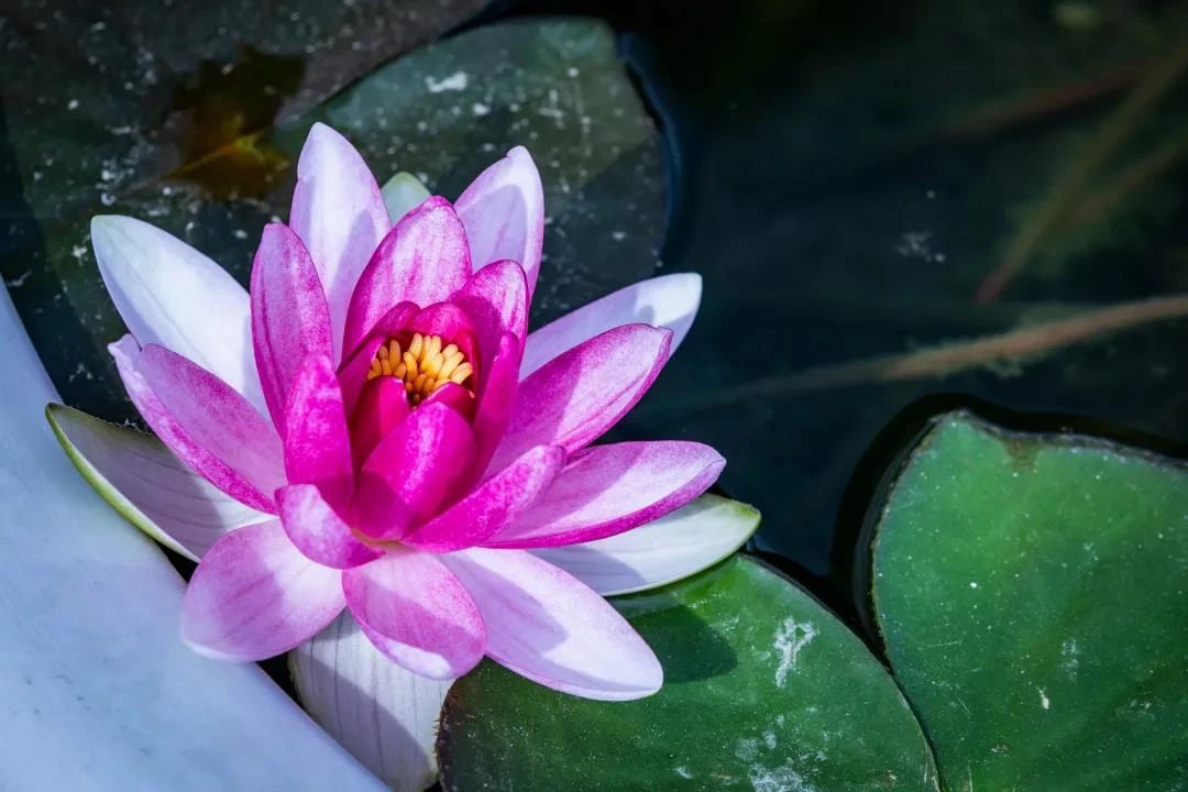 ���������Ҫ��ʼ�����𣿹�����������������˽�һ��