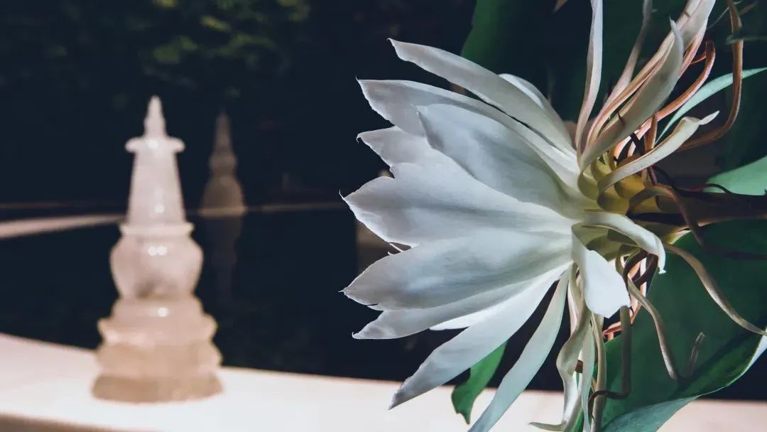 ����������������ʲô����