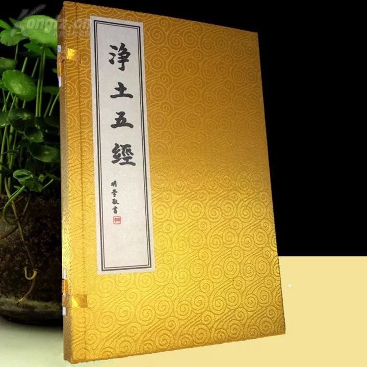 修学净土,应该怎么下功夫? 修学净土,应该怎么下功夫?