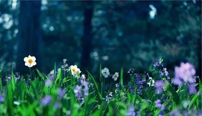 《金刚经》解决什么? 《金刚经》解决什么?