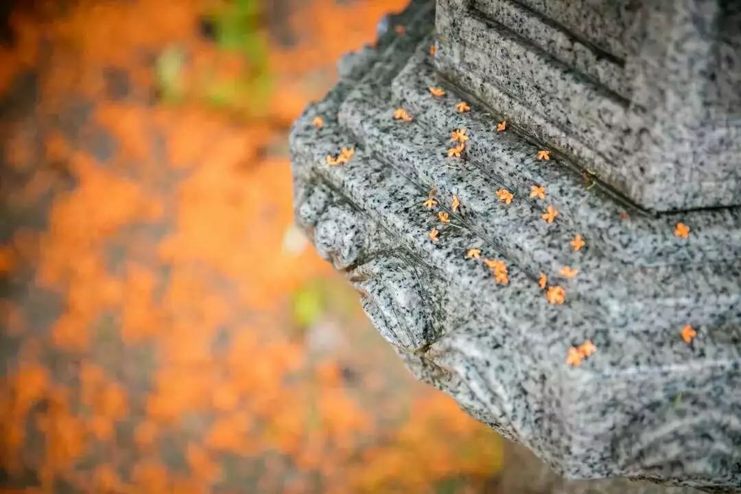 ������ݡ���������ѧϰ�£�