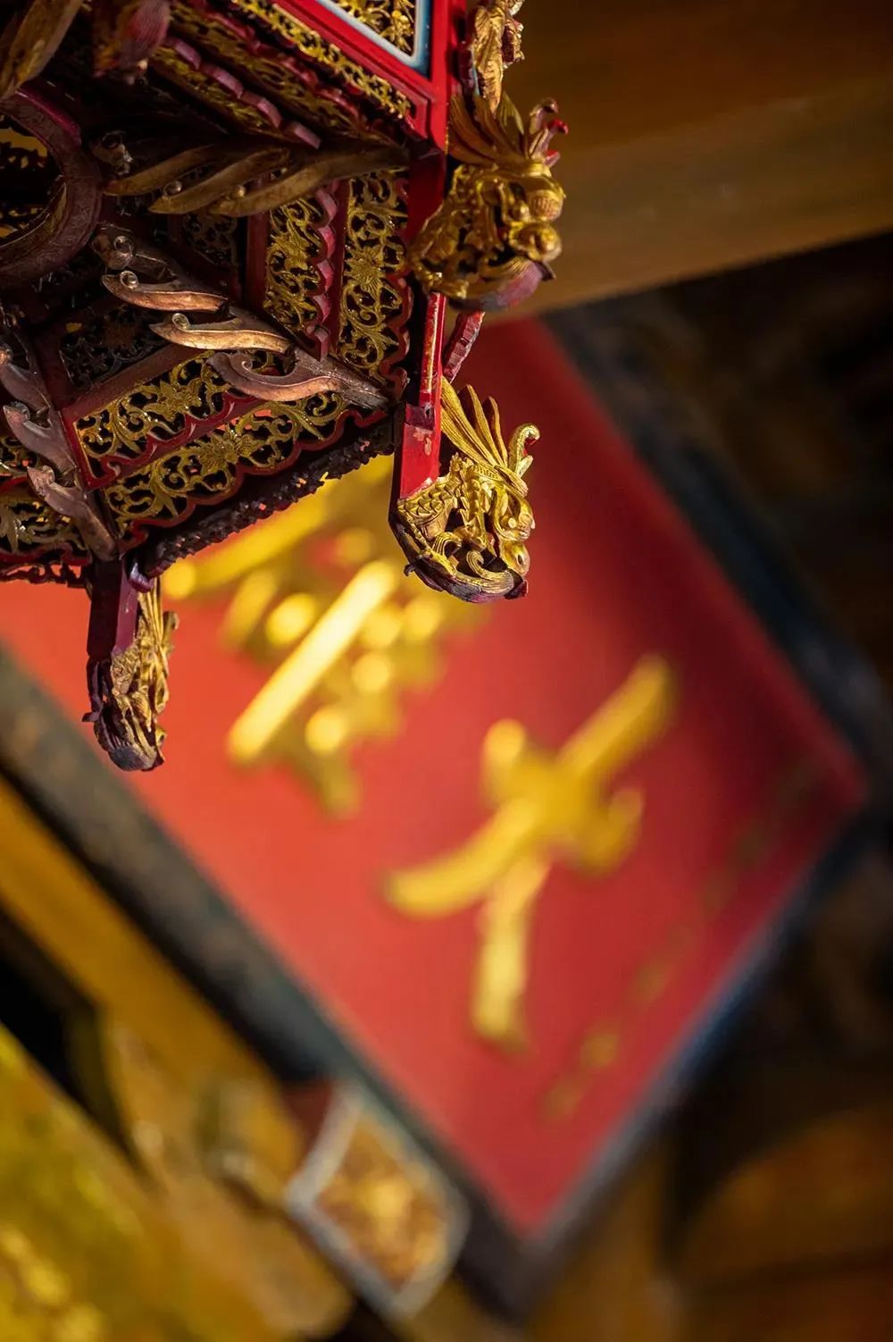 �����²��������ָ���������