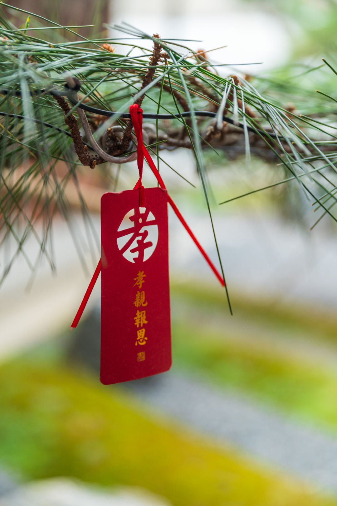 Ϊ��ĸ����������ȫ��ȫ�⣬���Ľ�����