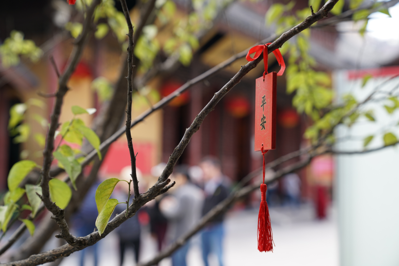 Ϊ��ĸ����������ȫ��ȫ�⣬���Ľ�����