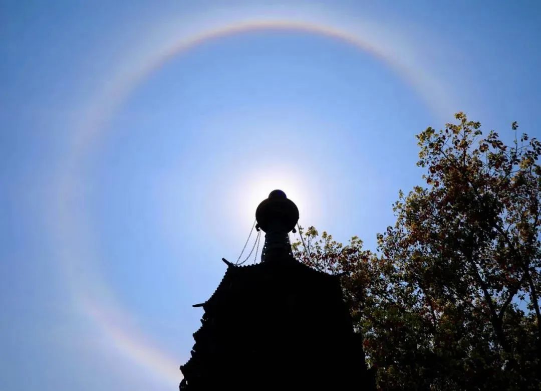 ���ǲ�����ͷ�����ǲ�ȥ׷����ͷ����