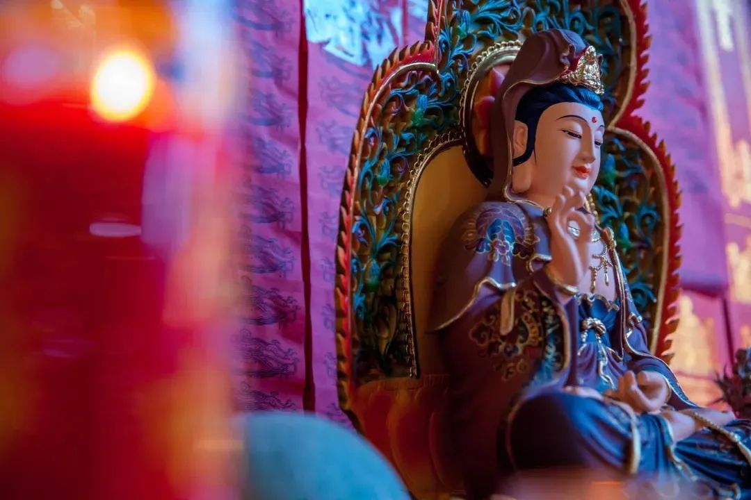 ѧ��������ѽڣ���ĺ��ۣ����������ǳ��