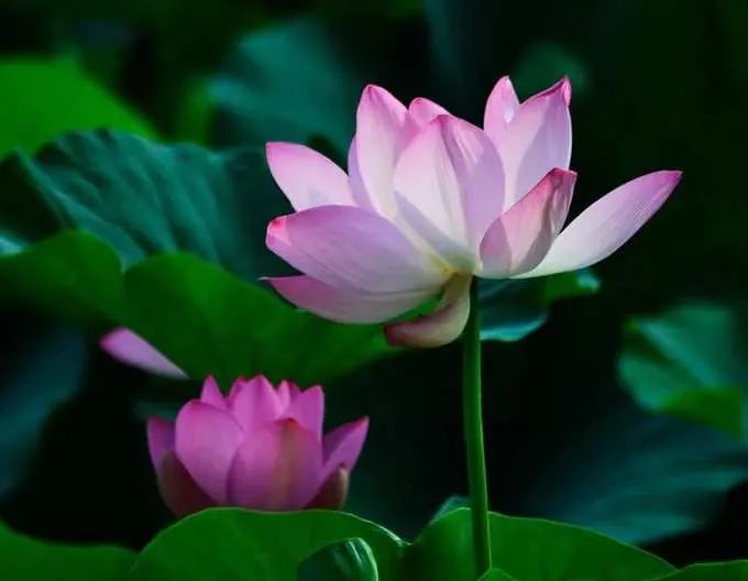 ���һ�ж�������ע�������л���ʲô�ã�