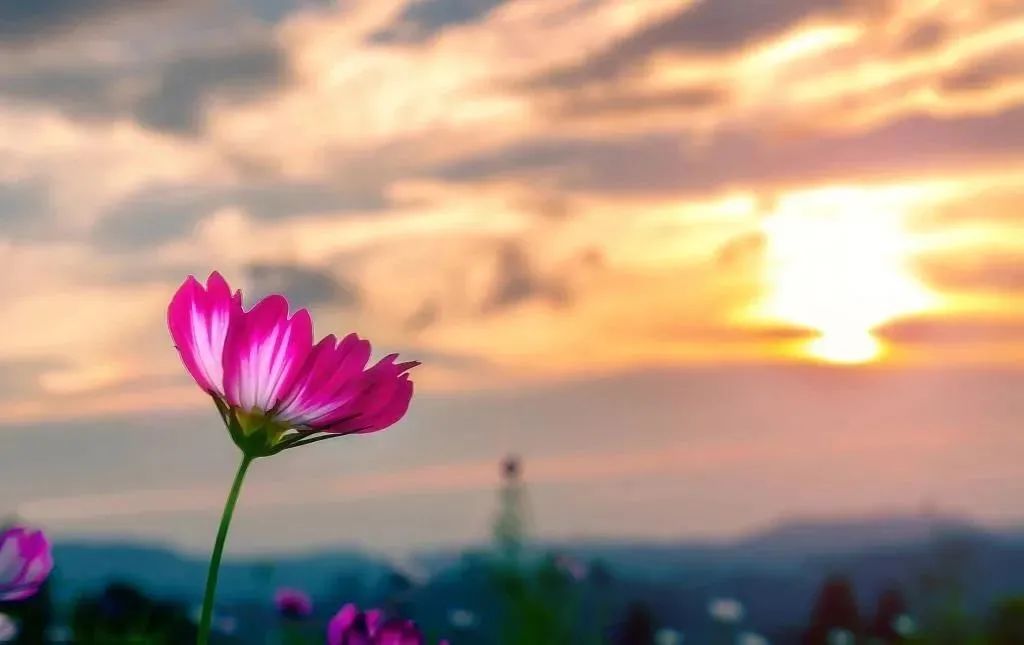 һ�ǰ��ȣ��㻹û�Զȣ��Ͷ��������