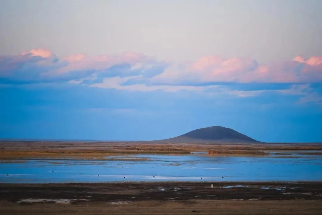 ����������Ӧ���ѧ��