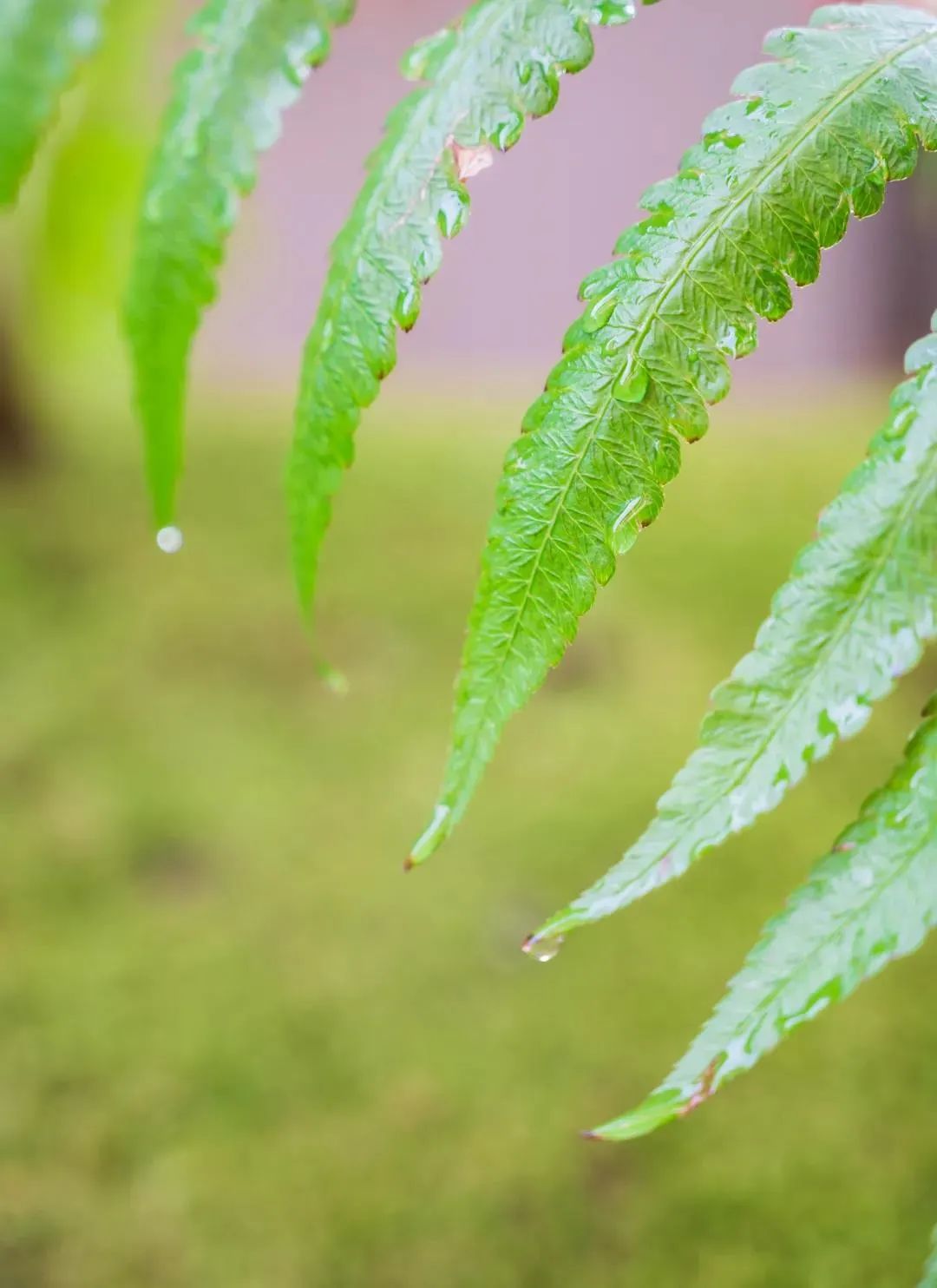 �ִ���ѧ�������15��ԭ������ѧ���˶��ÿ���