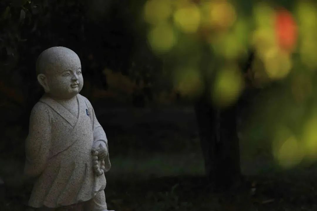 �ִ���ѧ�������15��ԭ������ѧ���˶��ÿ���