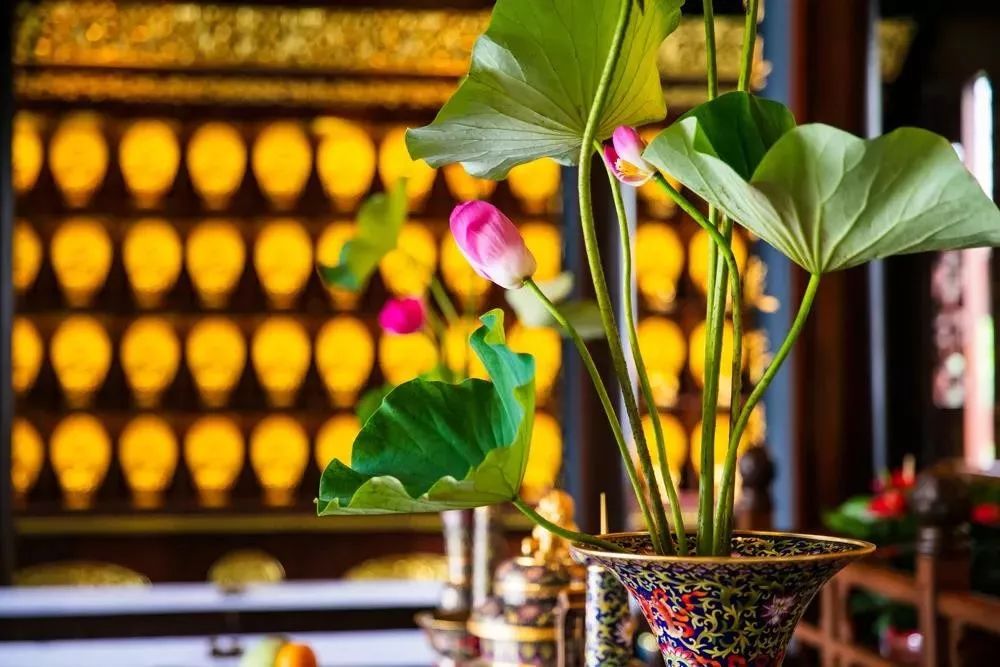 Զ�뽹�ǡ��������ڵ��ĸ�������