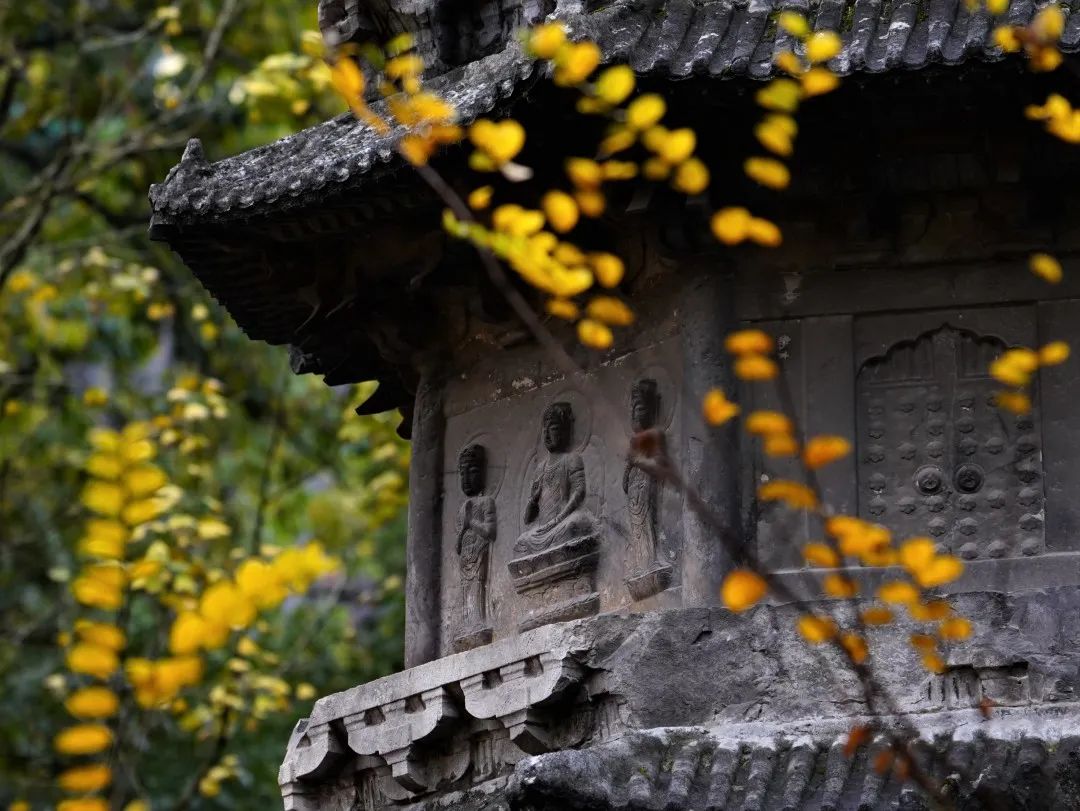 �����ķ���������ô�죿