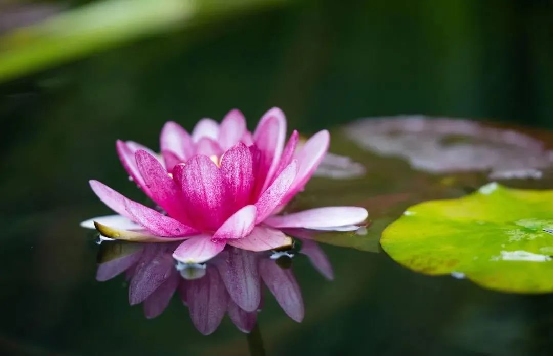 �����ķ���������ô�죿