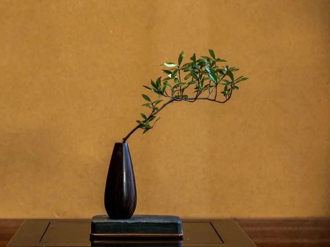 Ϊ��Ҫ�ñ��˵ĸ�����Ű���Լ���