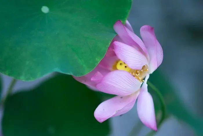 学佛人,每日至少10次这样观照! 学佛人,每日至少10次这样观照!