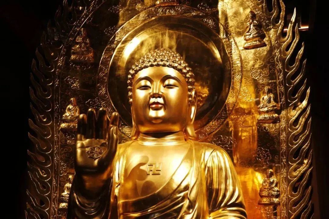 祸福无门,唯人自招 祸福无门,唯人自招