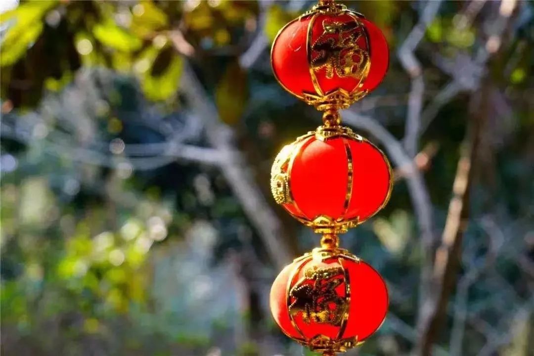 祸福无门,唯人自招 祸福无门,唯人自招