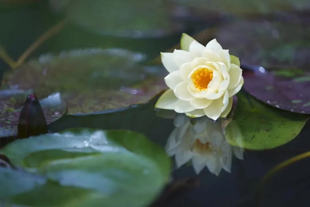 ����ȴ������ԭ��������