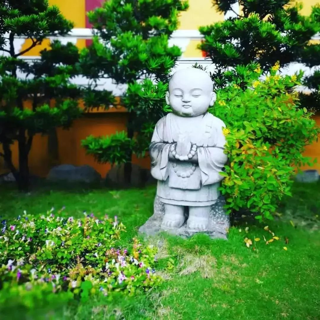 是佛法不灵?还是我们的心不灵? 是佛法不灵?还是我们的心不灵?