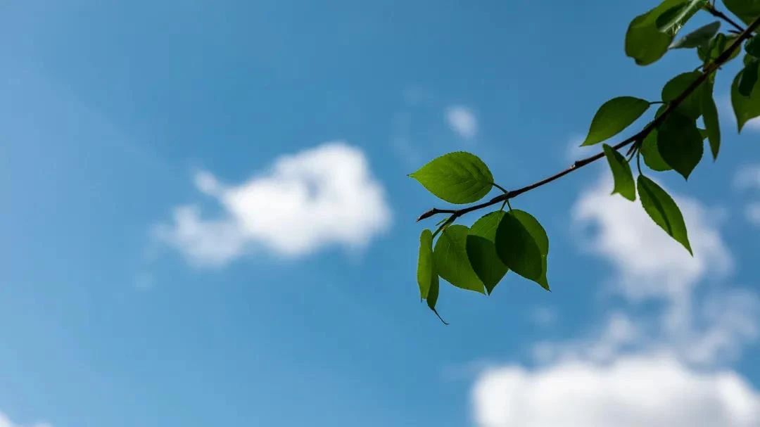 什么样的人运气不会差?怎么做才能获得“好运气”? 什么样的人运气不会差?怎么做才能获得“好运气”?