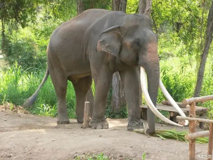 什么样的人运气不会差?怎么做才能获得“好运气”? 什么样的人运气不会差?怎么做才能获得“好运气”?