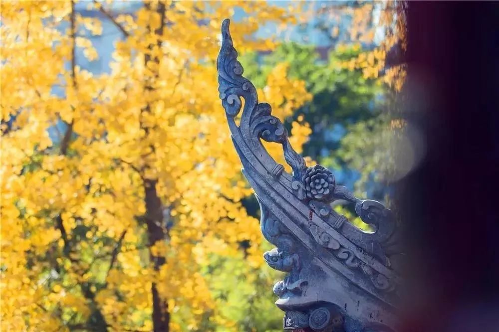 ʮ�����棬������Ϊ���̰��