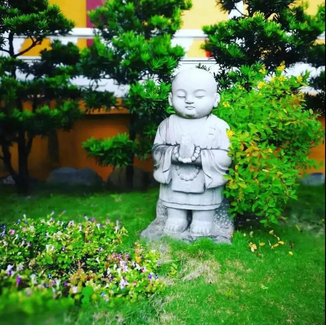 生命中的苦,怎样才能解脱呢? 生命中的苦,怎样才能解脱呢?