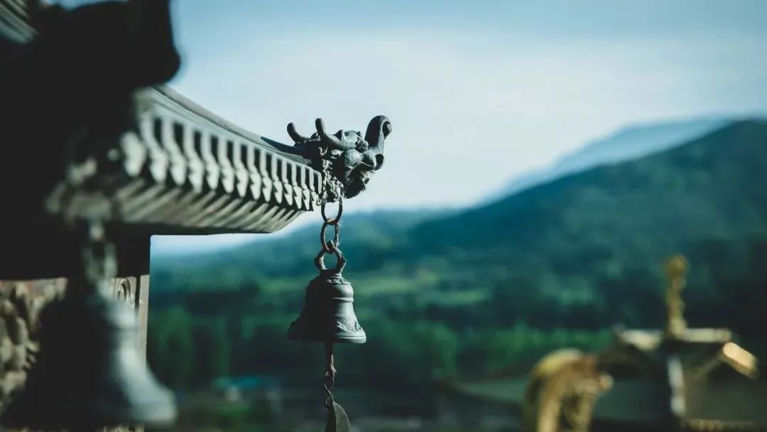 ����ѧ���ˣ�����������