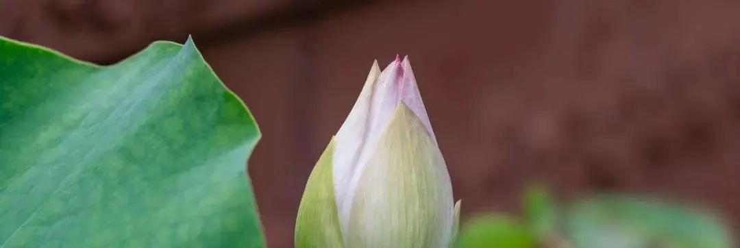 ѧ�������������Ҫ�Ǳ���������