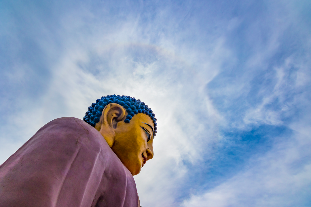 �����������λ�Լ���׷��