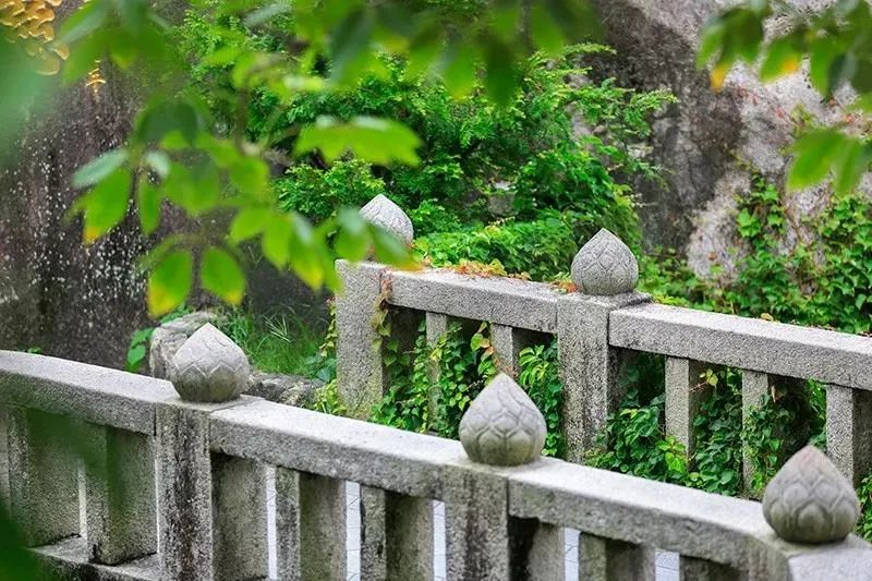 �Ͽ����ɣ�����·�϶��Ƕ��пͣ�