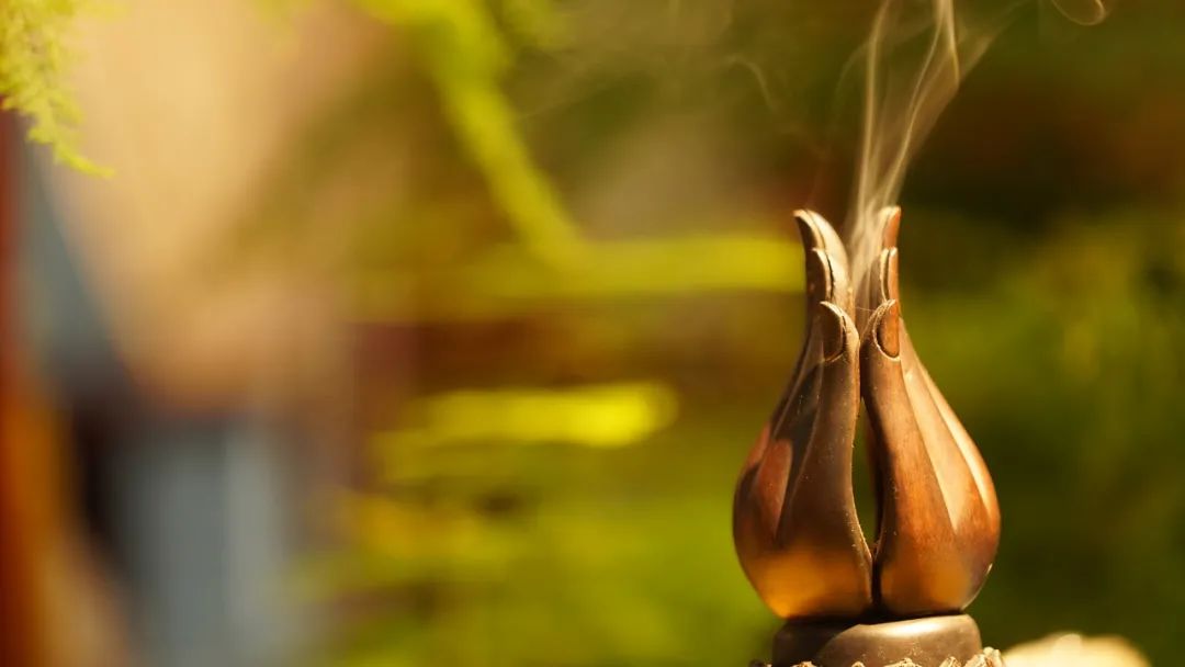 ������ΪʲôҪ����ֹ�