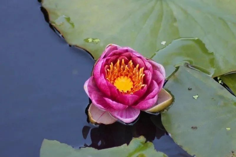 ѧ����ˣ�����Ҫ���Ǽ�Ԧ�Լ�����