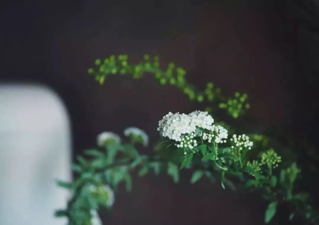 �ڼ�ѧ����һ���μ����ľ仰��