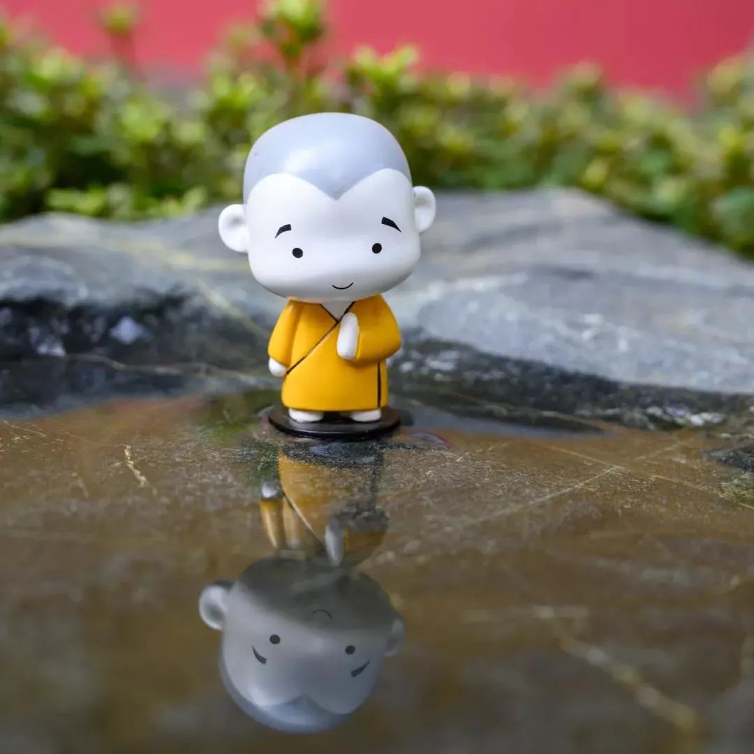 ����ô�ã���ô��������ѷ�����