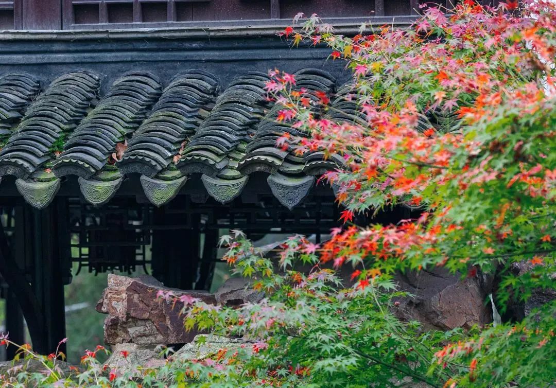 佛法治“嘴笨”的方法,了解一下~ 佛法治“嘴笨”的方法,了解一下~