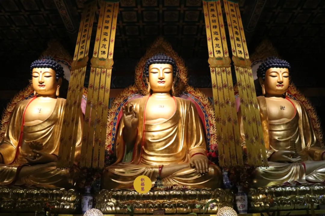 Ϊ�����������������������ѽ�ʾ�𰸣�